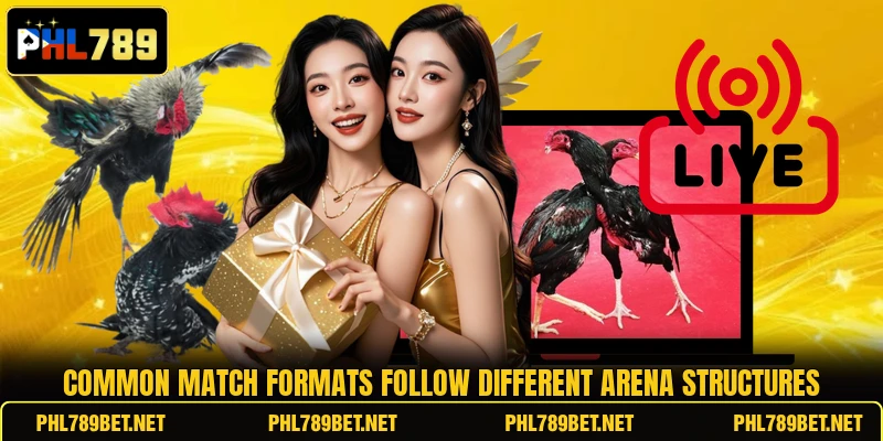 Common match formats follow different arena structures
